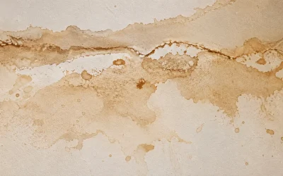 Water Stain Removal